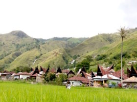 Alamat Dukun Sakti Samosir
