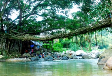 Alamat Paranormal Pesisir Selatan