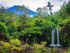 Alamat Paranormal Solok Selatan