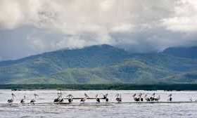 Alamat Dukun Kepulauan Tanimbar
