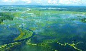 Alamat Dukun Kabupaten Mappi 