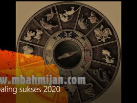 Shio Paling Sukses tahun 2020