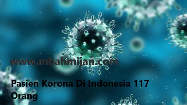 Pasien Korona Di Indonesia 117 Orang