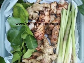 Ramuan Penangkal Virus Corona